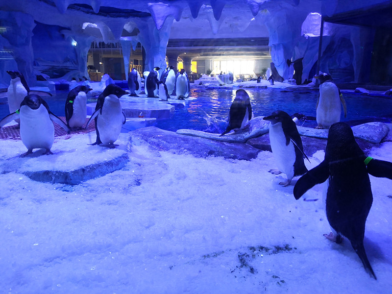 1555920982437124.jpg 1555920982437124.jpg