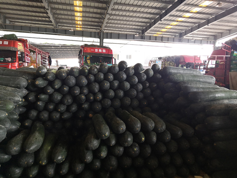 1581908629810563.jpg 1581908629810563.jpg