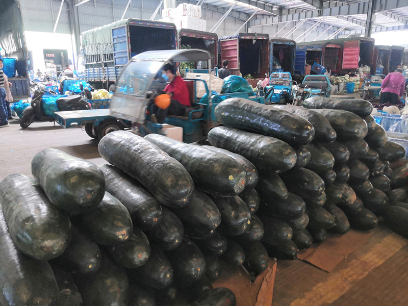 1588231775173679.jpg 1588231775173679.jpg