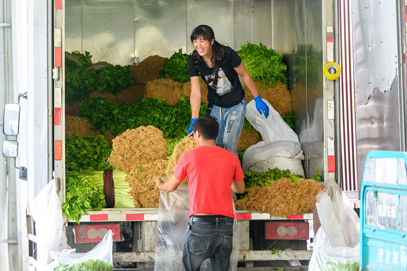 1601446263196163.jpg 1601446263196163.jpg