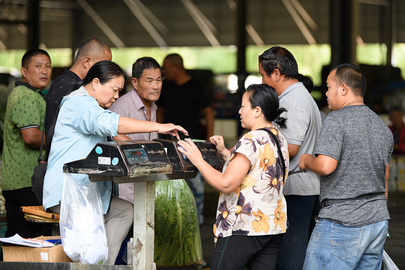 1601446363635877.jpg 1601446363635877.jpg