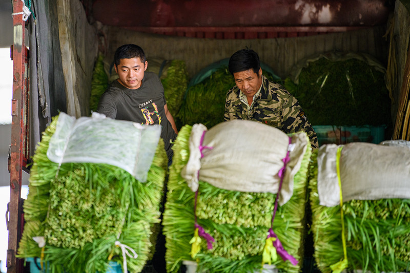 1601446409766282.jpg 1601446409766282.jpg