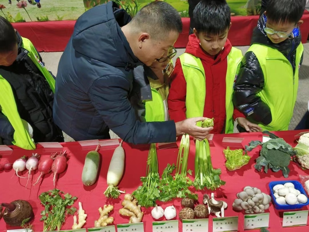 359fe9cd2e1878c23675a611d9ca89e 359fe9cd2e1878c23675a611d9ca89e