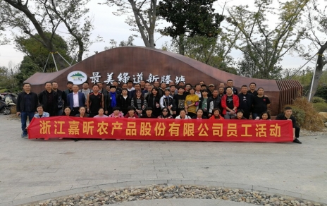 動出健康與活力！工會組織員工健身走活動