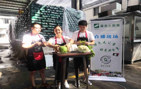 創(chuàng)意直播帶貨,本期專欄：蘭州高原夏菜！