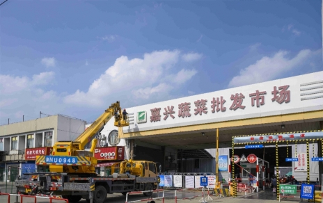 進(jìn)無(wú)止境，“嘉農(nóng)?蔬菜人”